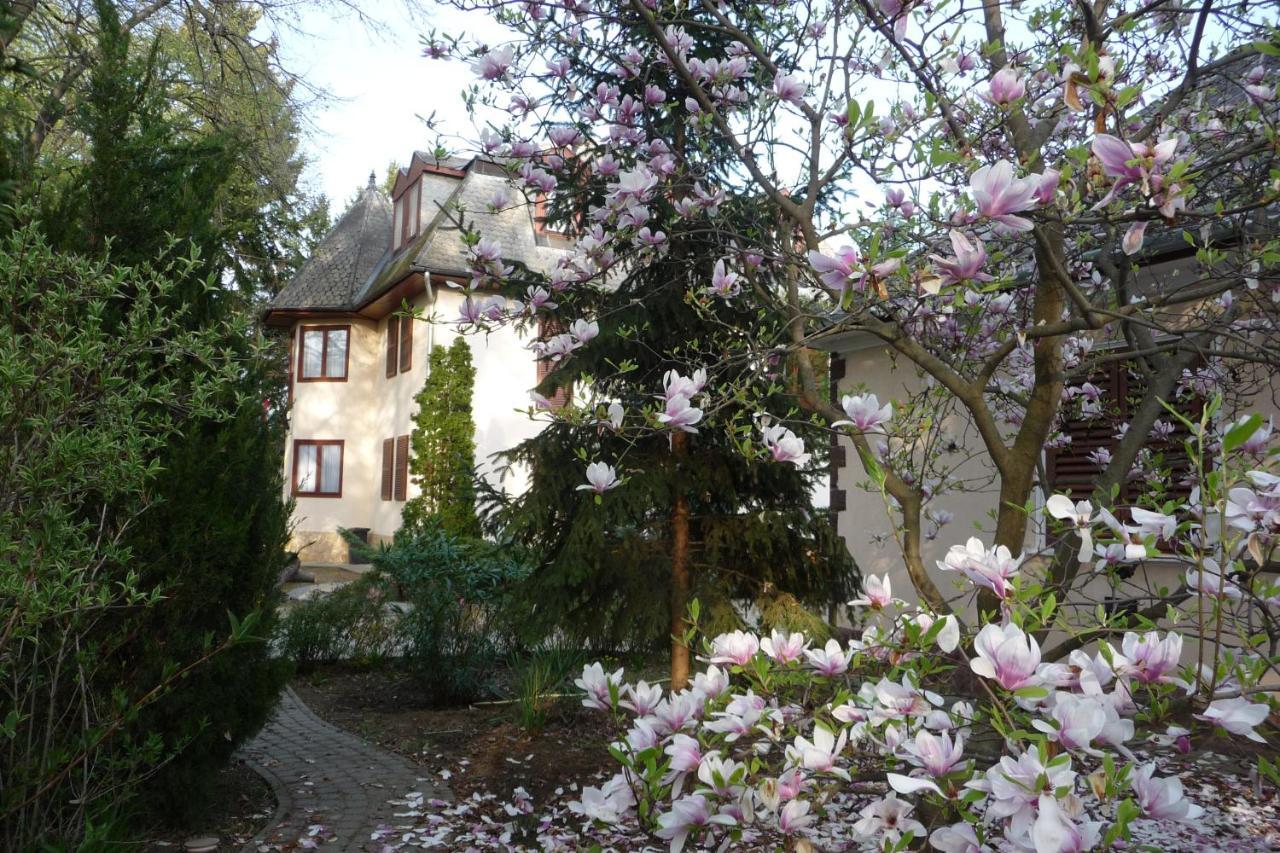 Balatonszárszó Balaton Art Guesthouse מראה חיצוני תמונה
