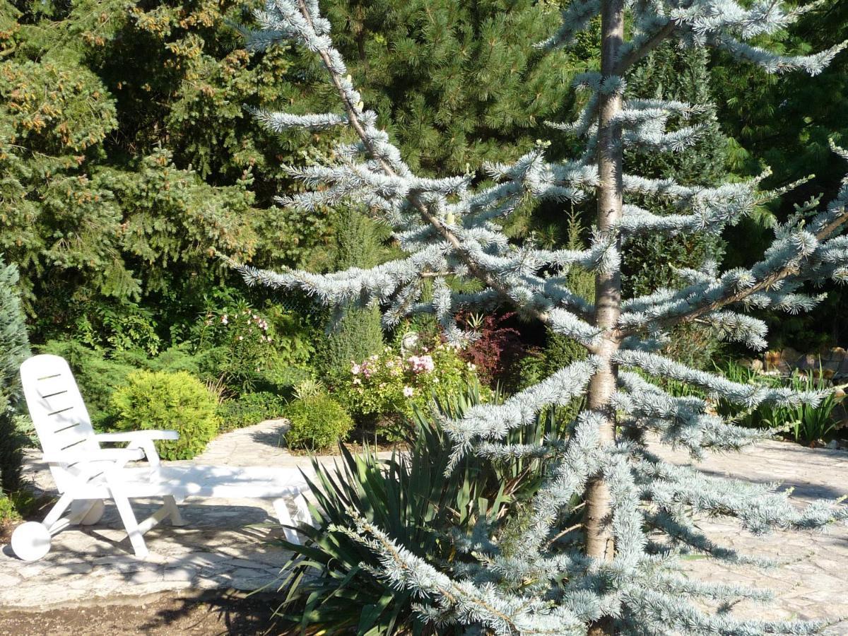 Balatonszárszó Balaton Art Guesthouse מראה חיצוני תמונה