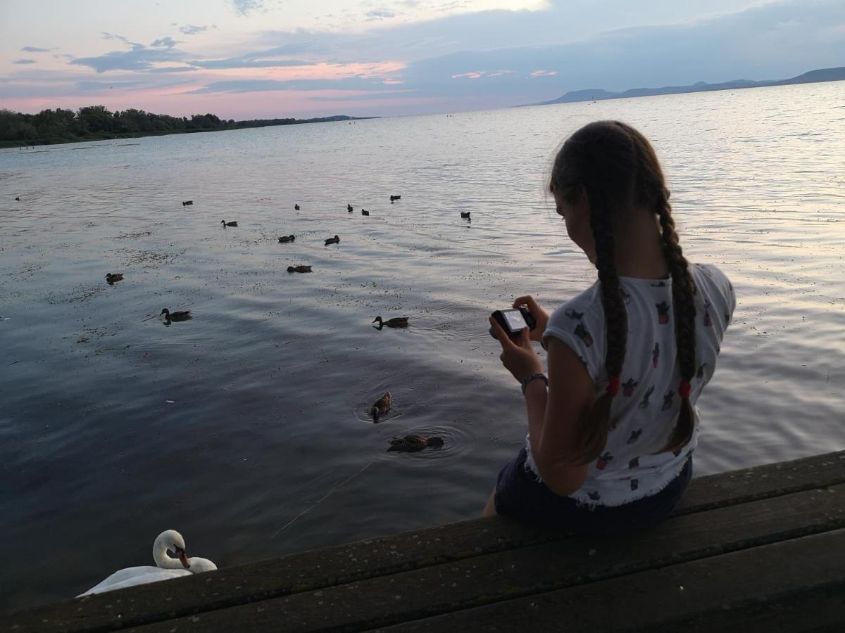 Balatonszárszó Balaton Art Guesthouse מראה חיצוני תמונה