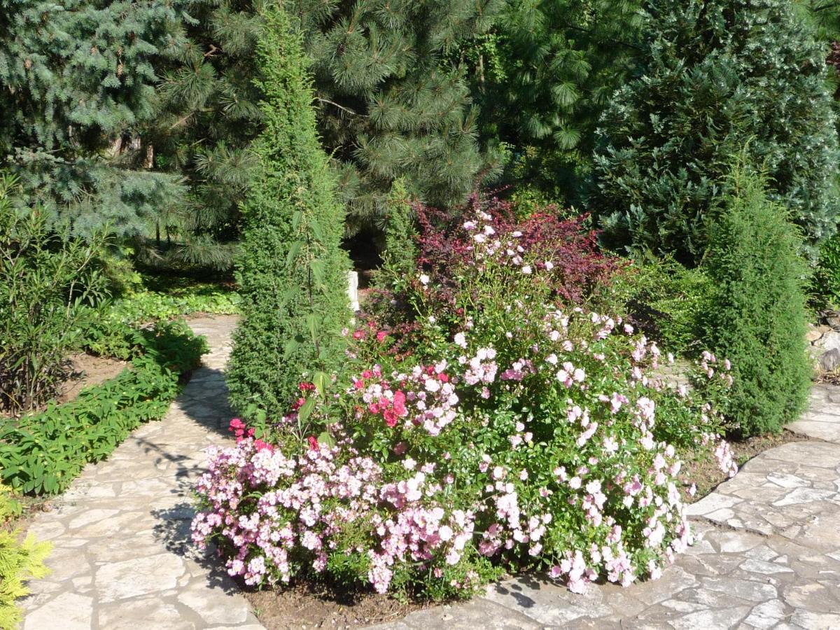 Balatonszárszó Balaton Art Guesthouse מראה חיצוני תמונה