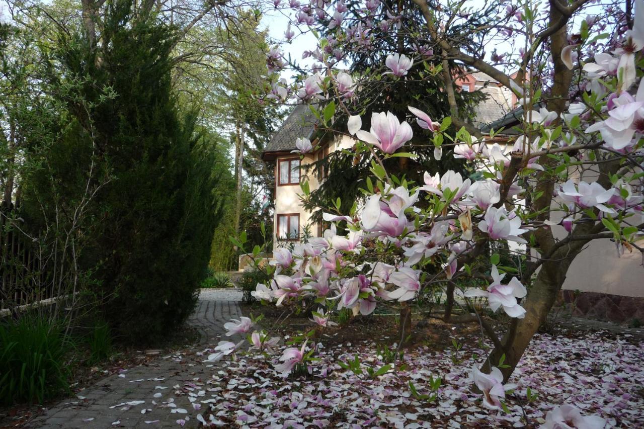 Balatonszárszó Balaton Art Guesthouse מראה חיצוני תמונה