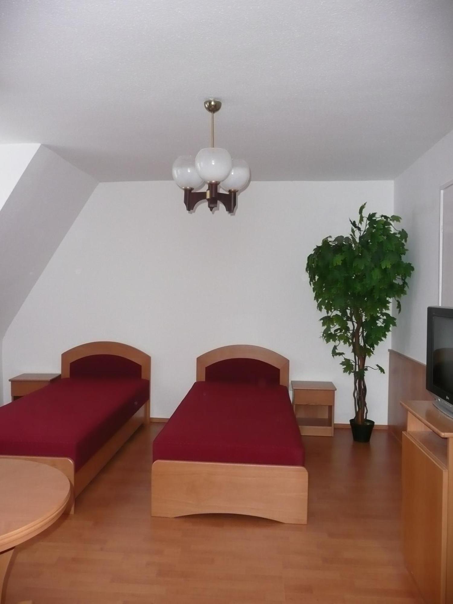 Balatonszárszó Balaton Art Guesthouse מראה חיצוני תמונה