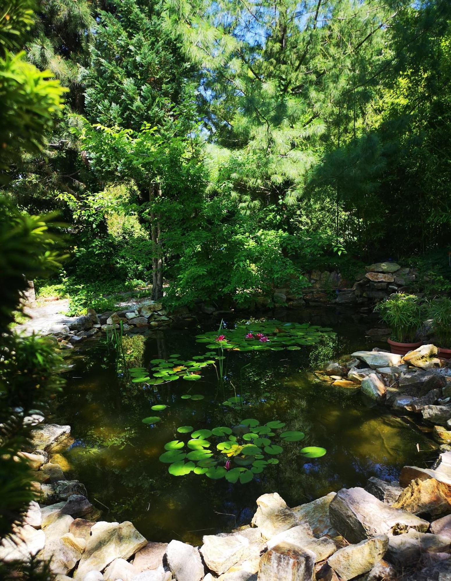 Balatonszárszó Balaton Art Guesthouse מראה חיצוני תמונה