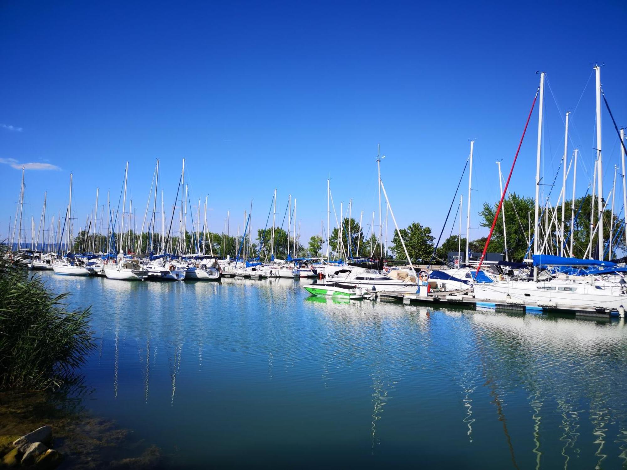 Balatonszárszó Balaton Art Guesthouse מראה חיצוני תמונה