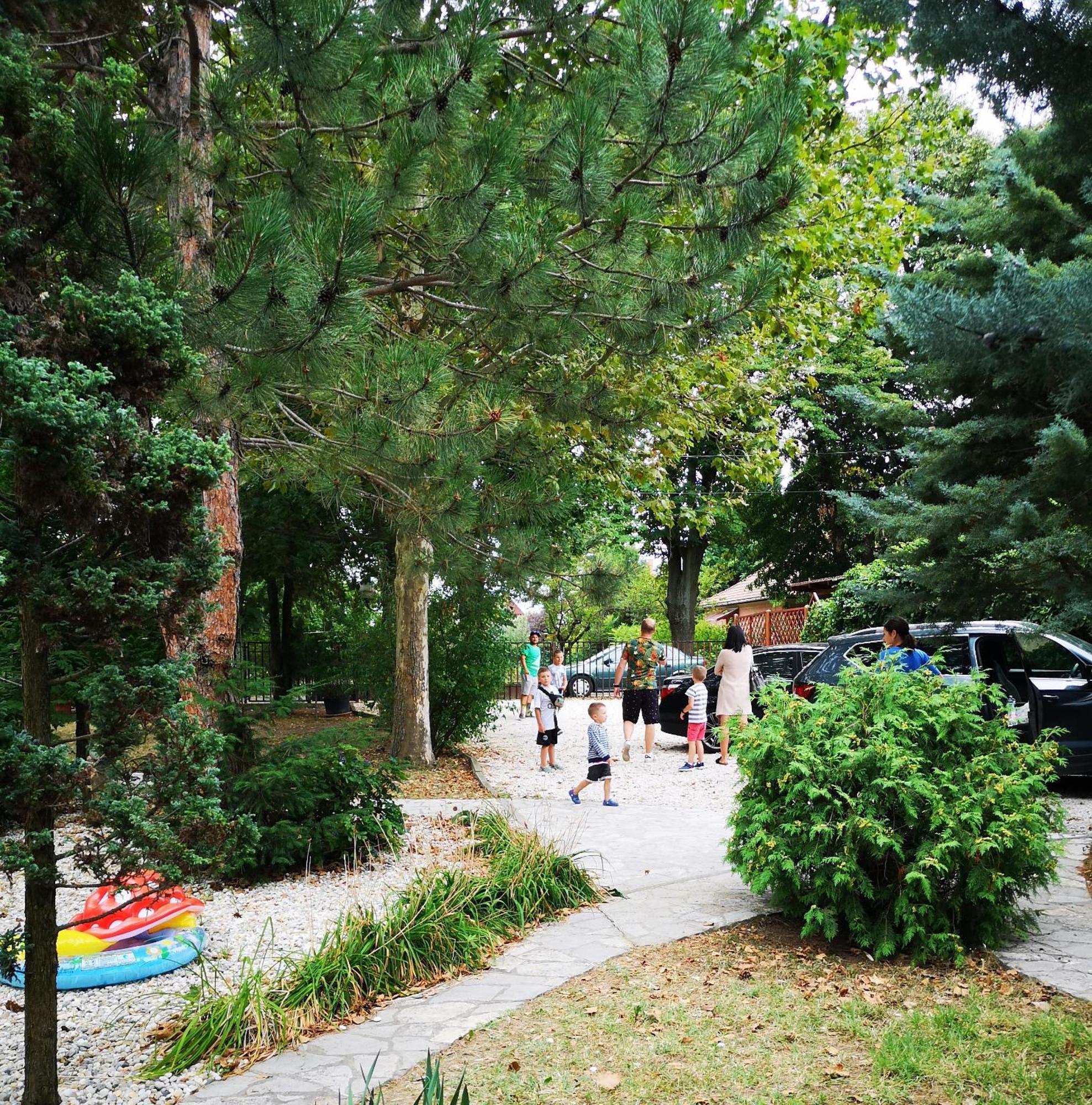 Balatonszárszó Balaton Art Guesthouse מראה חיצוני תמונה