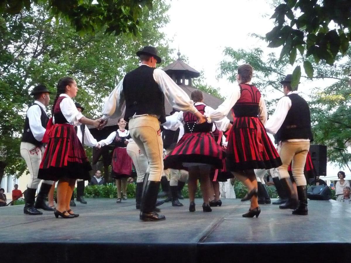 Balatonszárszó Balaton Art Guesthouse מראה חיצוני תמונה