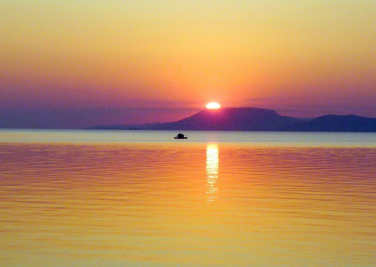 Balatonszárszó Balaton Art Guesthouse מראה חיצוני תמונה