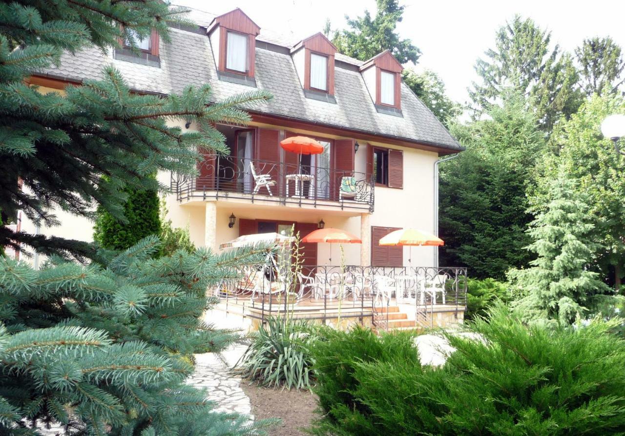 Balatonszárszó Balaton Art Guesthouse מראה חיצוני תמונה
