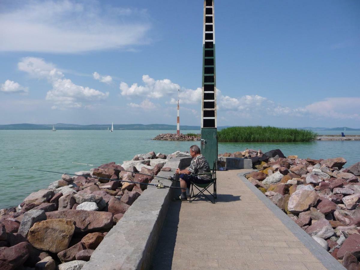 Balatonszárszó Balaton Art Guesthouse מראה חיצוני תמונה
